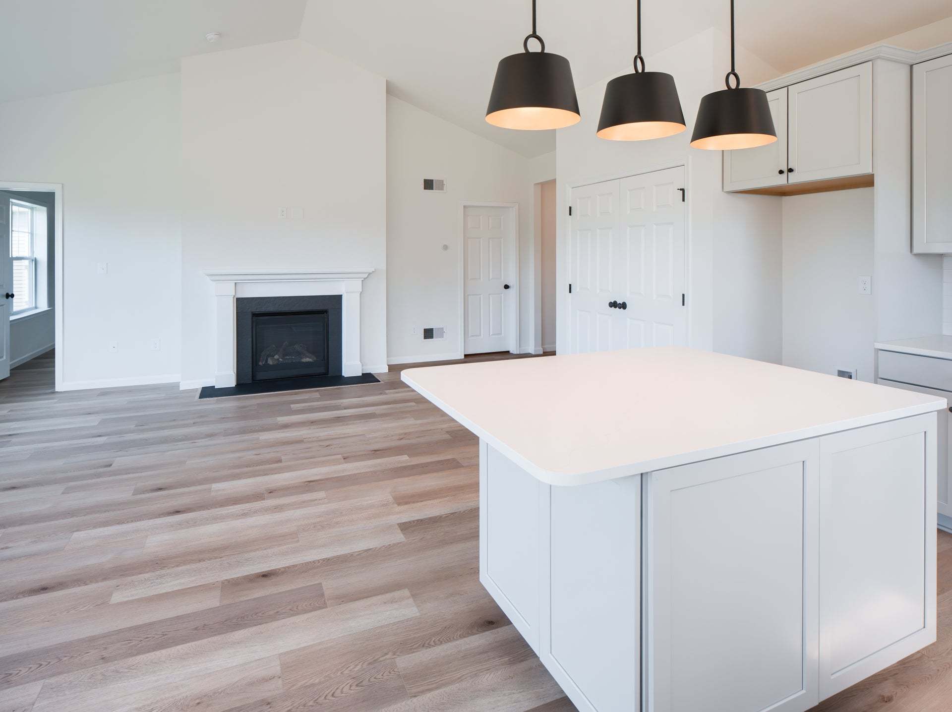 Family Room and Standard Kitchen W/Upgrades