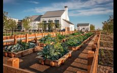 Kinston at Centerra : Loveland, Colorado - Kinston Centerra