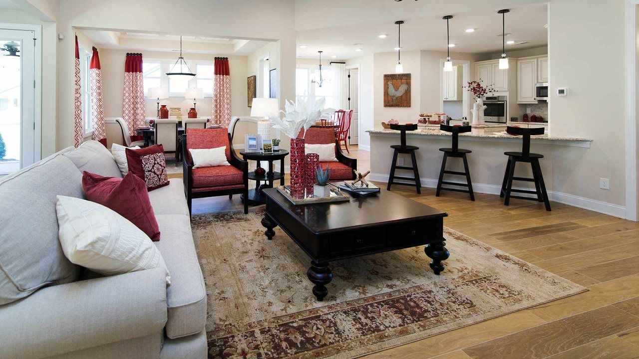 8941 Silver Springs Court