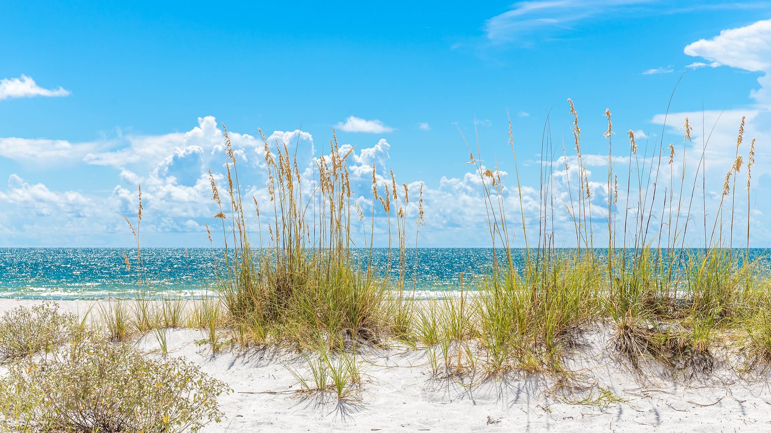 NatureWalk at Watersound Origins | New Home Community