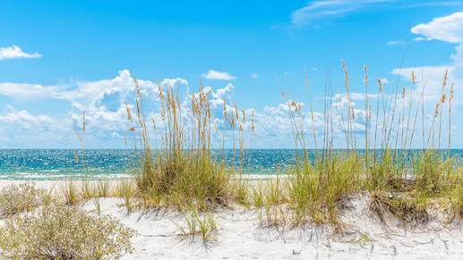 NatureWalk at Watersound Origins | New Home Community