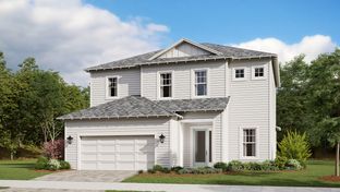 Naples - NatureWalk at Watersound Origins: Inlet Beach, Florida - Kolter Homes
