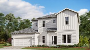 Seacrest - NatureWalk at Watersound Origins: Inlet Beach, Florida - Kolter Homes