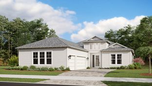 Tampa - NatureWalk at Watersound Origins: Inlet Beach, Florida - Kolter Homes