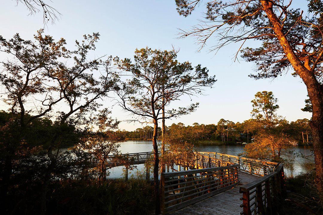 37 Pennekamp Lane. Inlet Beach, FL 32461