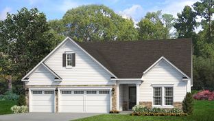 Mulberry - Cresswind Charlotte: Charlotte, North Carolina - Kolter Homes