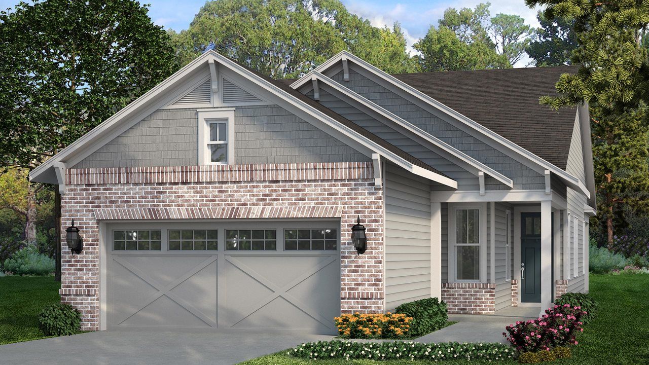 Ash Model | Elevation BB