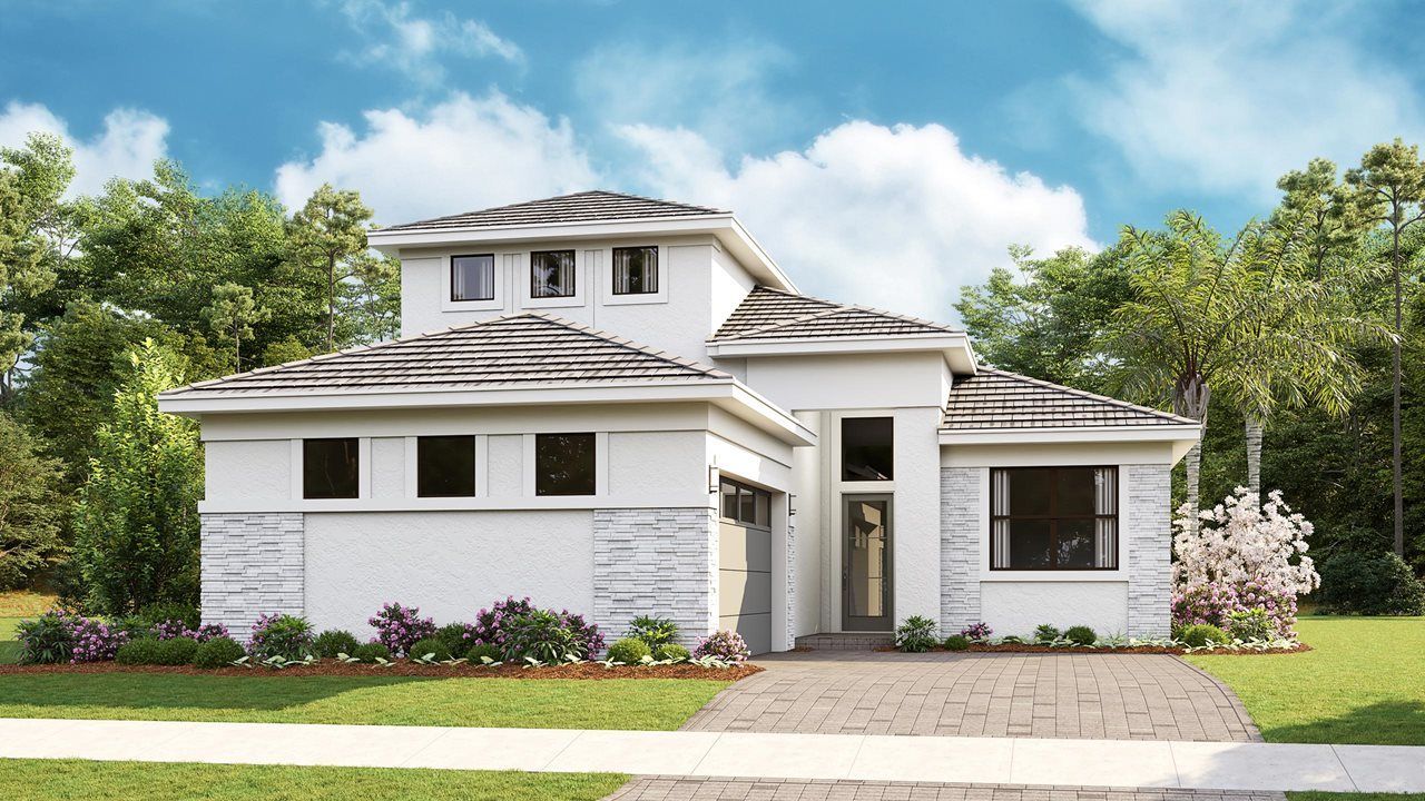 Transitional| Elevation AS Bonus