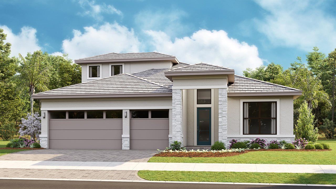 Transitional Bonus| Elevation AS Bonus