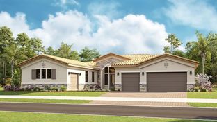 Xena - Astor Creek Golf & Country Club: Port Saint Lucie, Florida - Kolter Homes