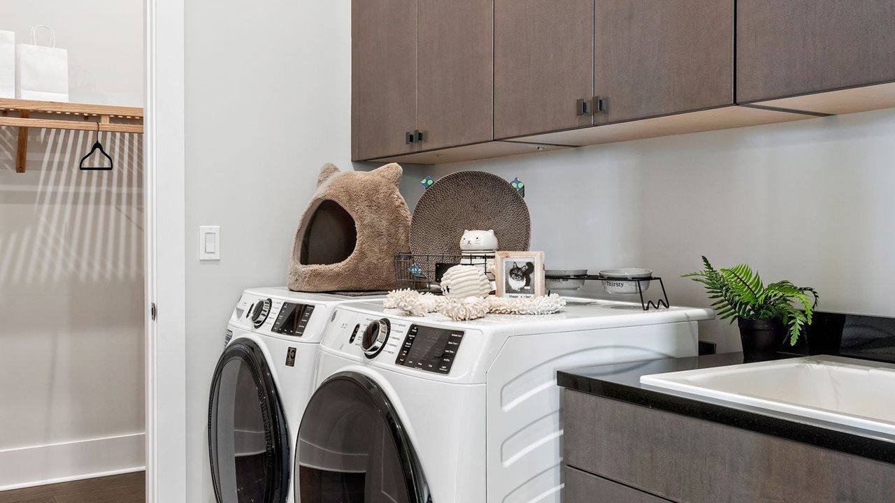 Paige Model | Laundry