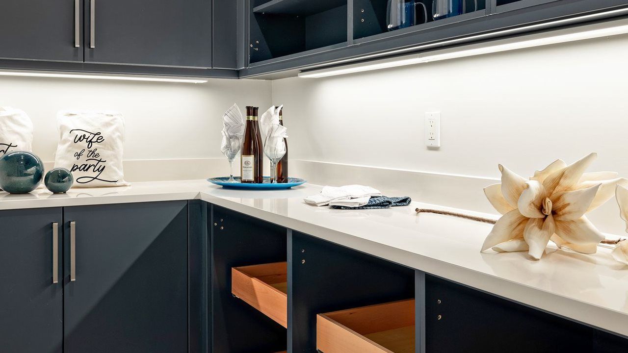 Appliance Pantry
