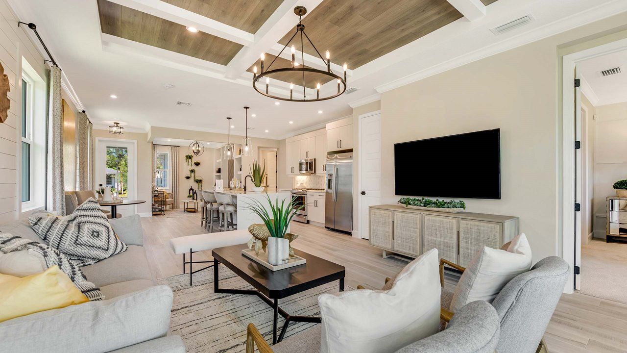 Ana Model | Great Room