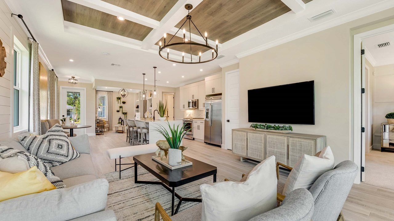 Ana Model | Great Room