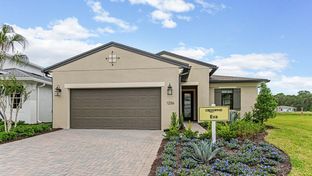 Eva - Cresswind DeLand 55+ Community: Deland, Florida - Kolter Homes