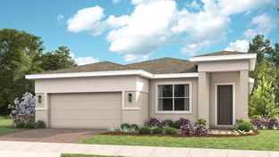 Gabriella - Cresswind at Lake Harris: Tavares, Florida - Kolter Homes