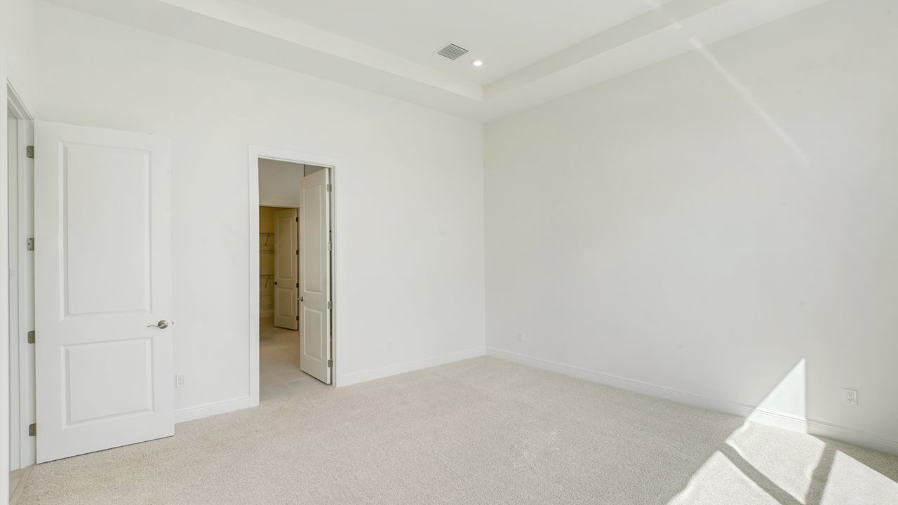89657335-250209.jpg