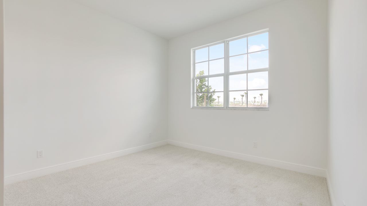 89657362-250209.jpg