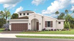 Nora - Cresswind at Hammock Oaks: Lady Lake, Florida - Kolter Homes