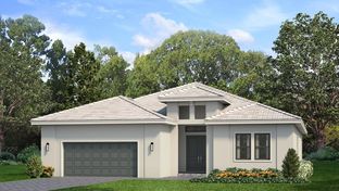 Van Gogh - Artistry Sarasota: Sarasota, Florida - Kolter Homes