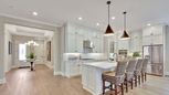 Cresswind at Spring Haven - Newnan, GA