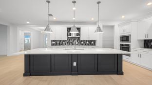 Laura - Cresswind at Lake Harris: Tavares, Florida - Kolter Homes
