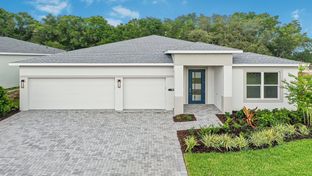 Pearl - Cresswind at Hammock Oaks: Lady Lake, Florida - Kolter Homes