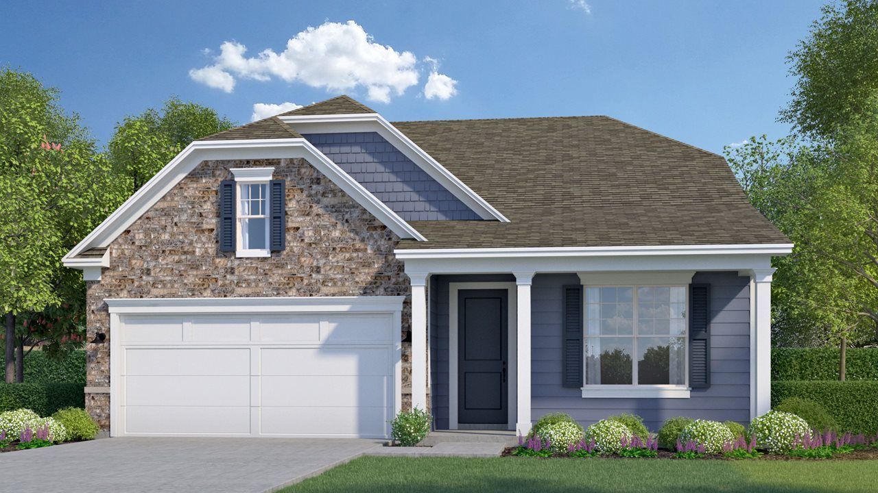 Cypress C Stone