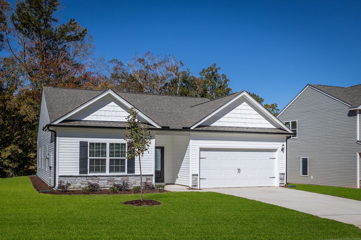 Angled-view of the Burton