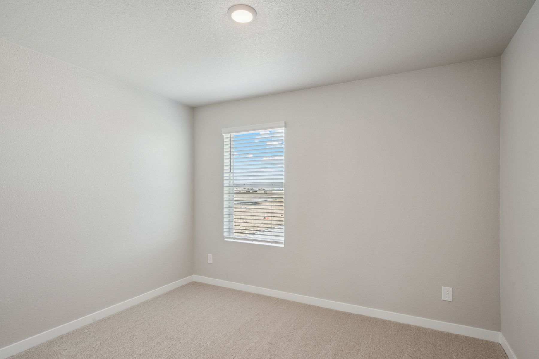 The secondary bedrooms have carpet.