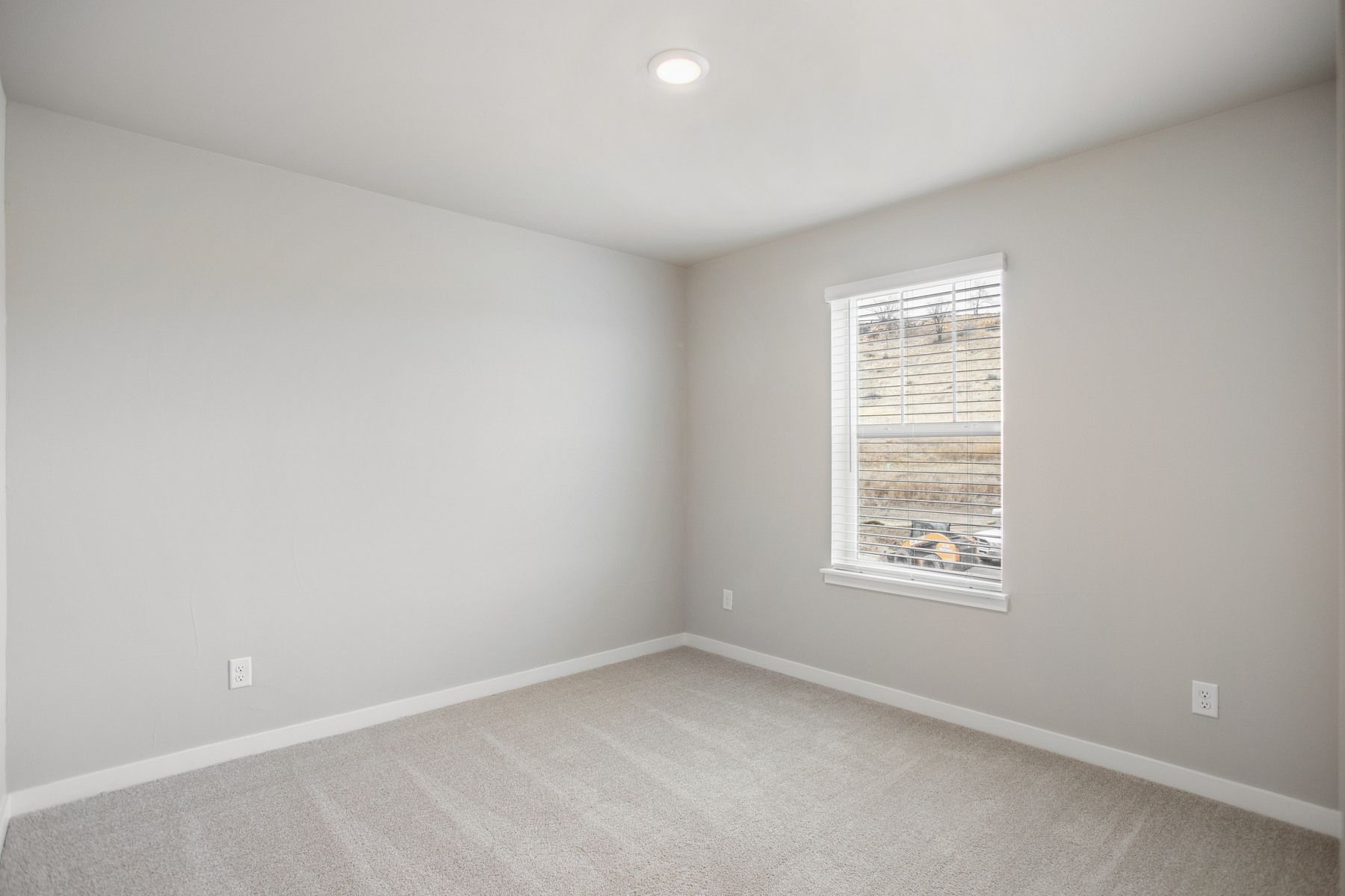The secondary bedrooms have carpet.