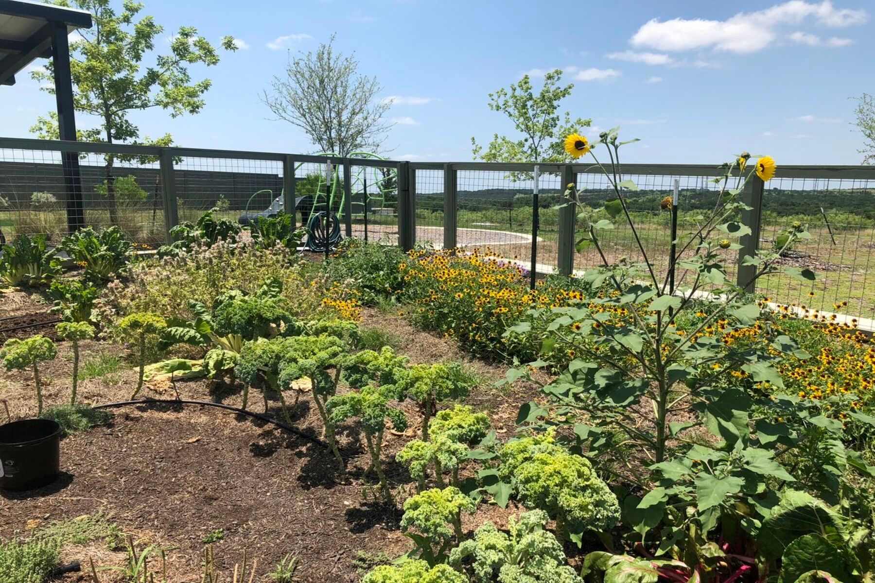 Enjoy living in a green, family-focused community.