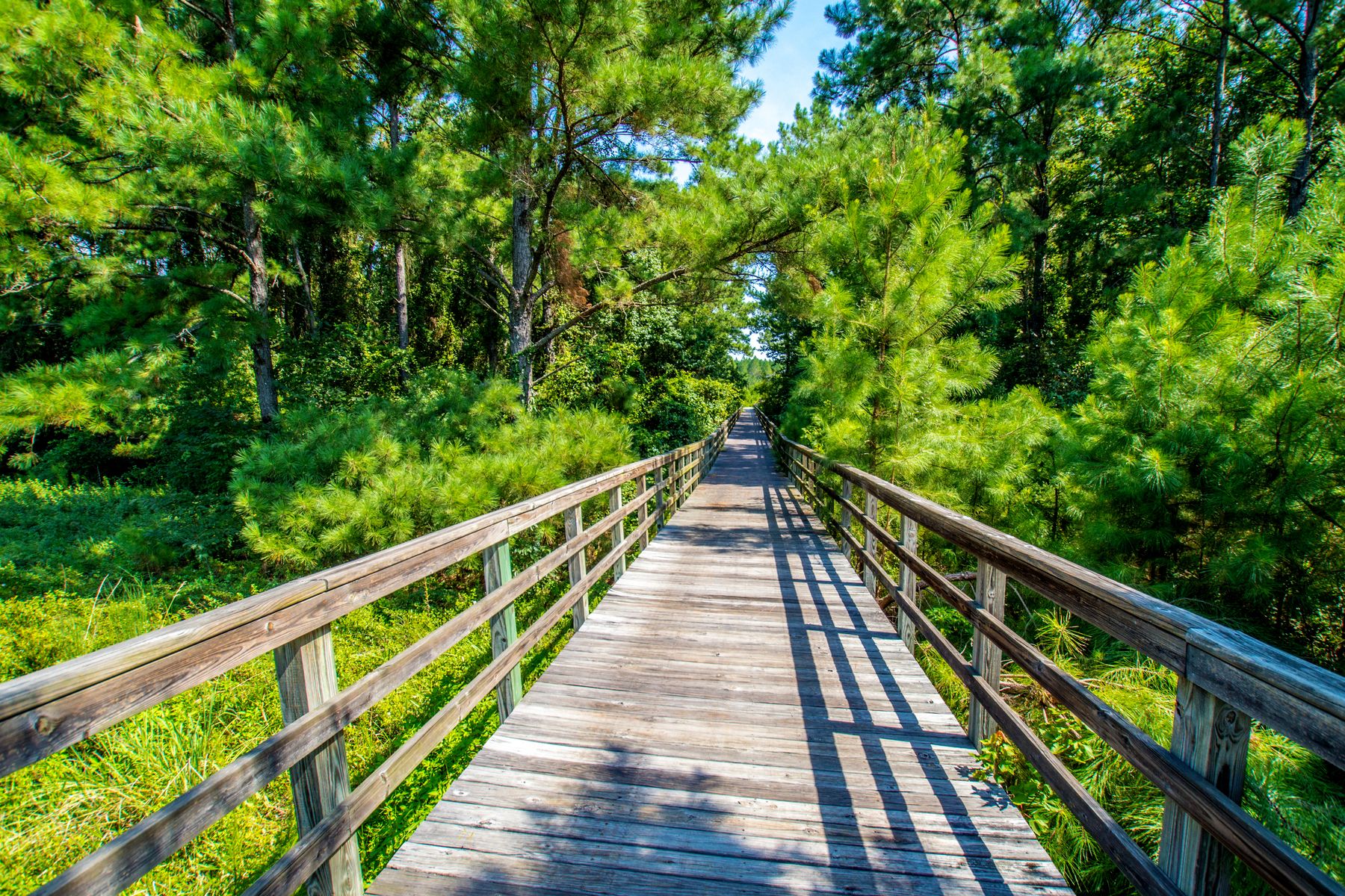 You'll love taking a walk at the gorgeous scenery at Rolling Hills