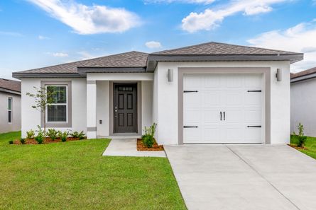 Hibiscus by LGI Homes in Tampa-St. Petersburg FL