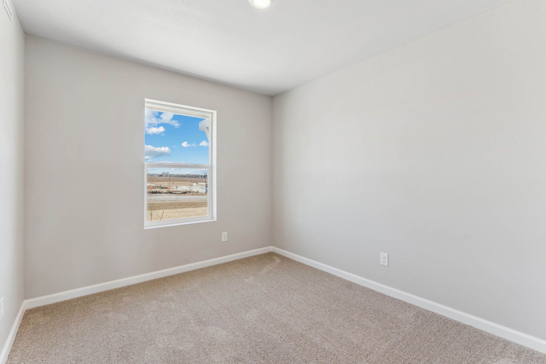The secondary bedroom has carpet.