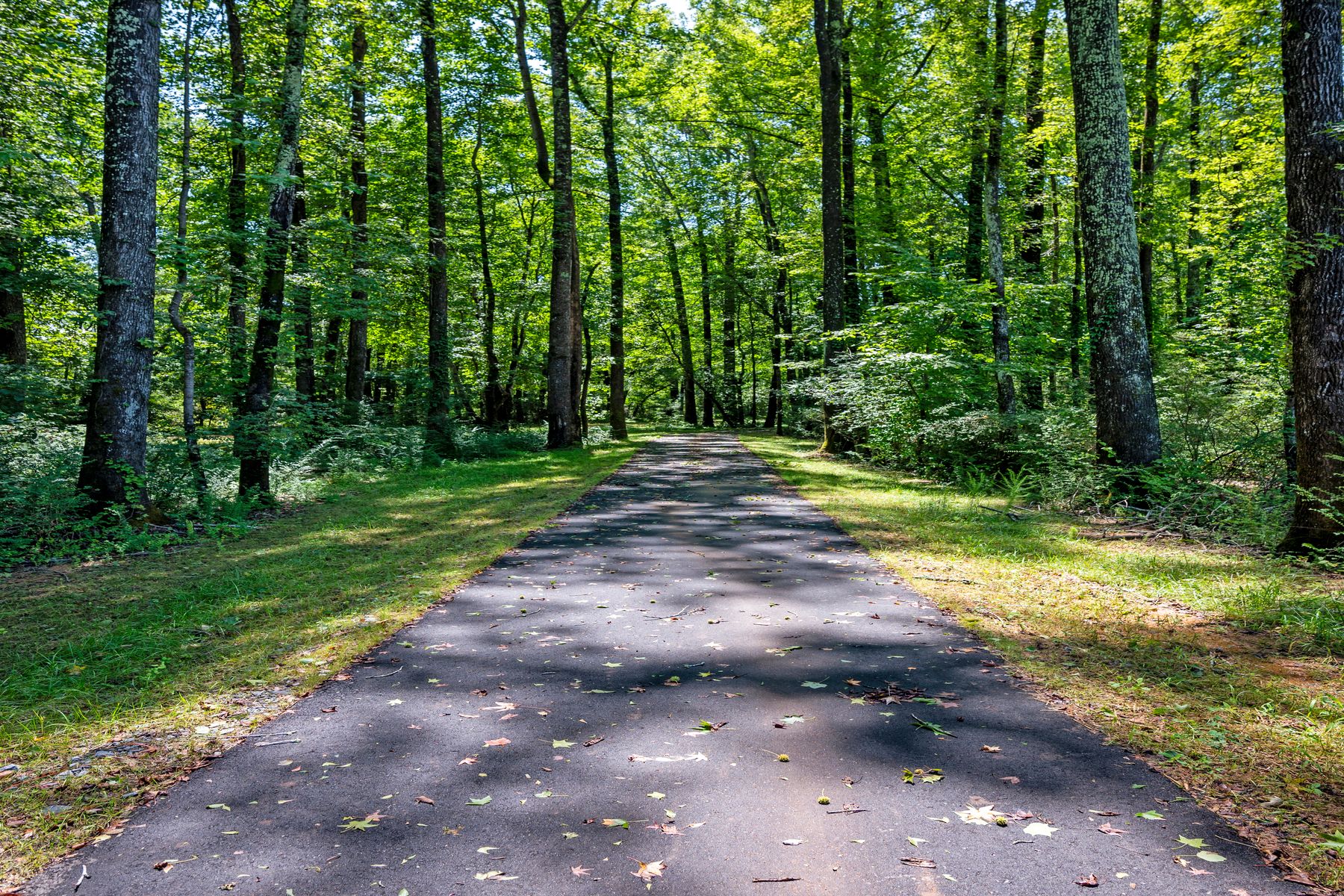 Community Walking Trail