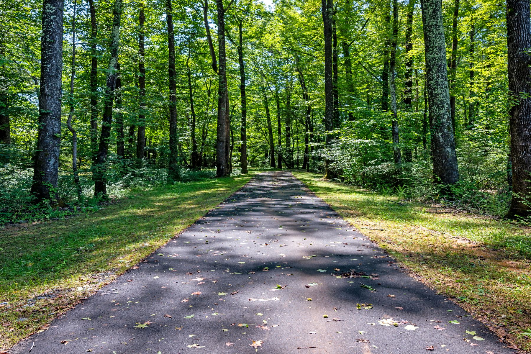 Community Walking Trail