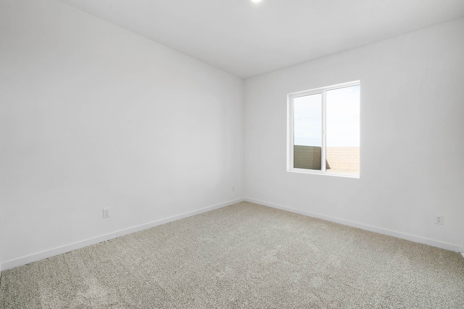The secondary bedroom has carpet.