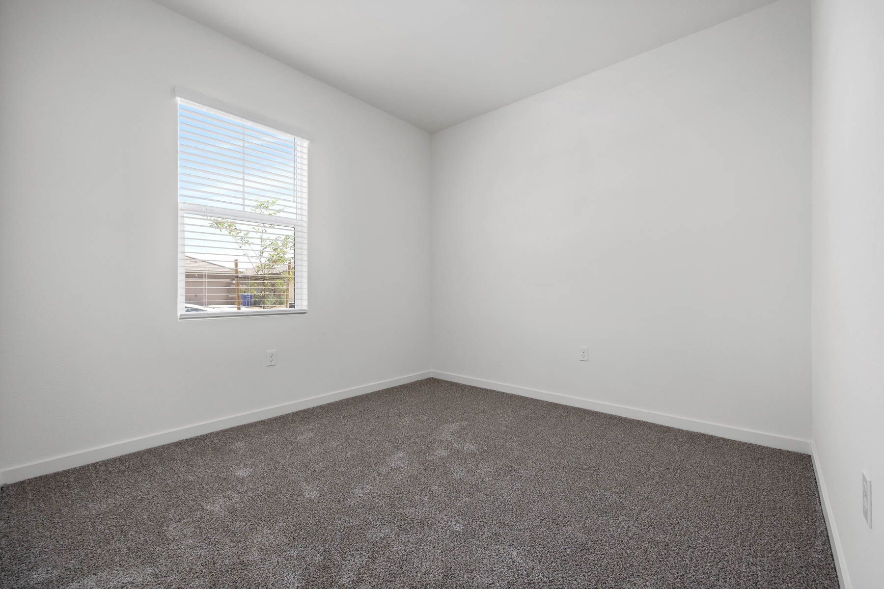 The secondary bedrooms have carpet.