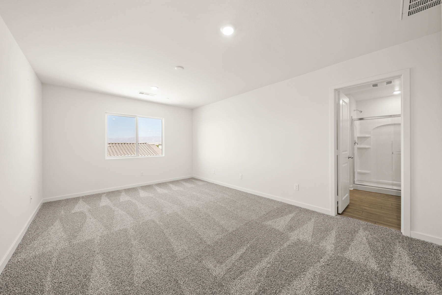 The master bedroom is spacious and has carpet.