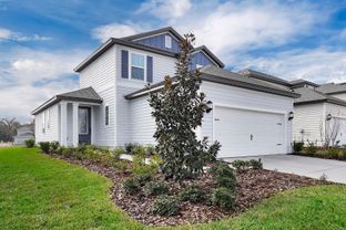 Tomoka - Jennings Farm: Middleburg, Florida - LGI Homes