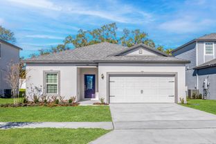 Amalie - Tula Parc: Astatula, Florida - LGI Homes