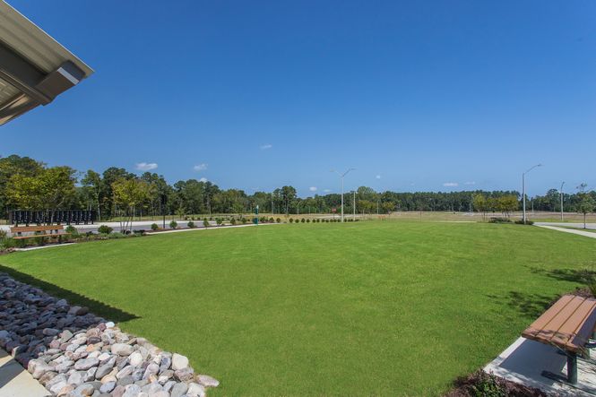 Open green space