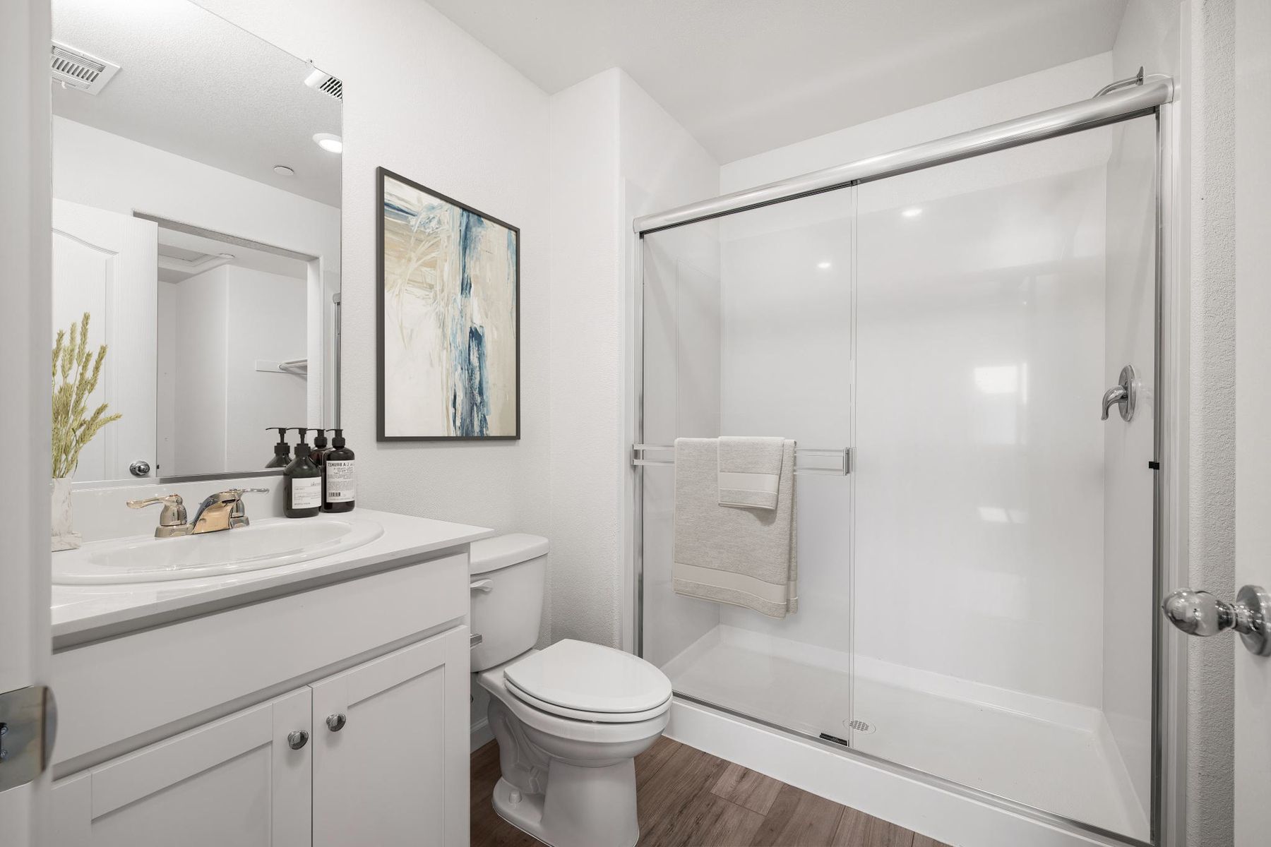 The master bathroom has a large vanity and a step in shower