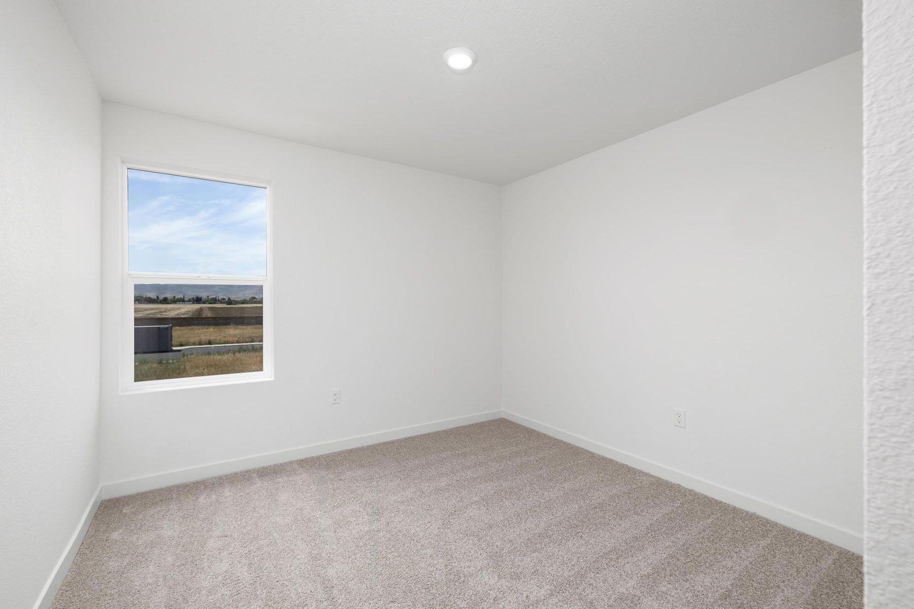 The secondary bedrooms have carpet.