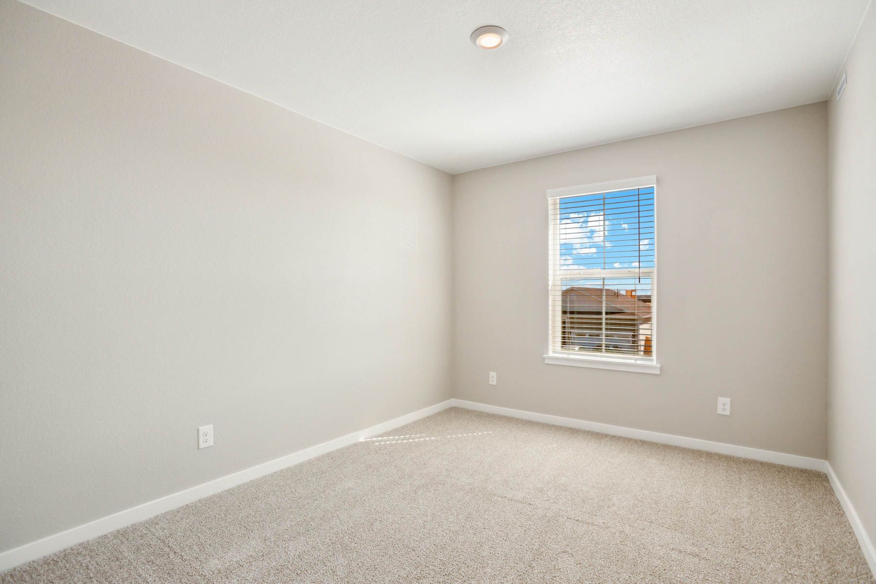 The secondary bedrooms have carpet.