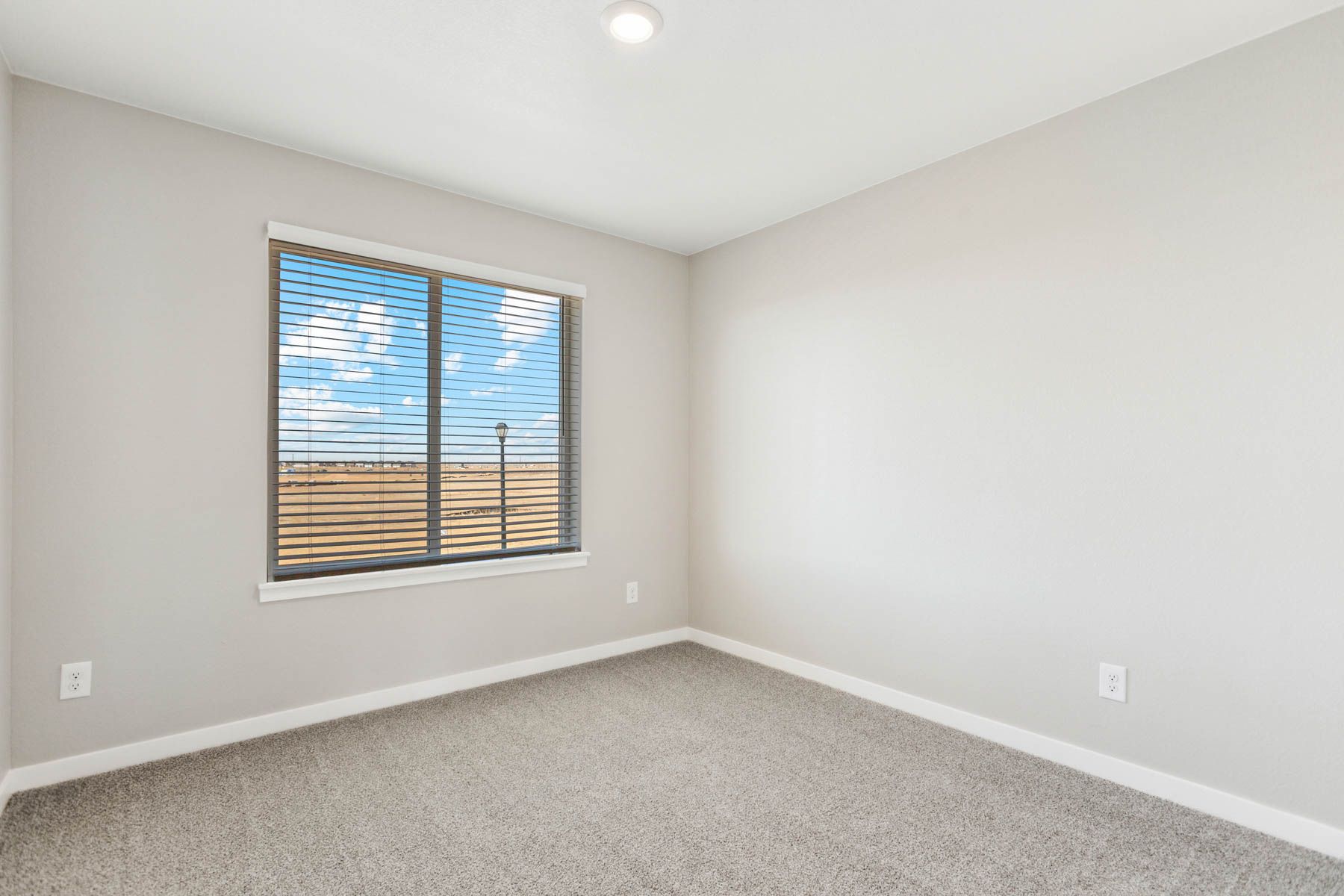 The secondary bedrooms have carpet.