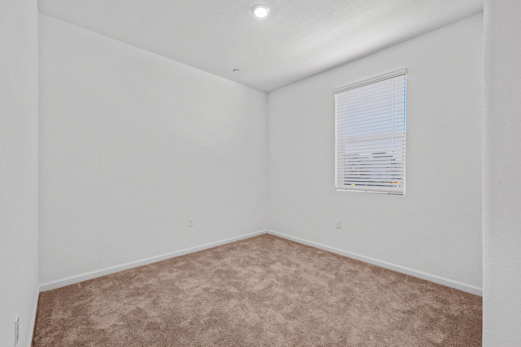 The secondary bedrooms have carpet.
