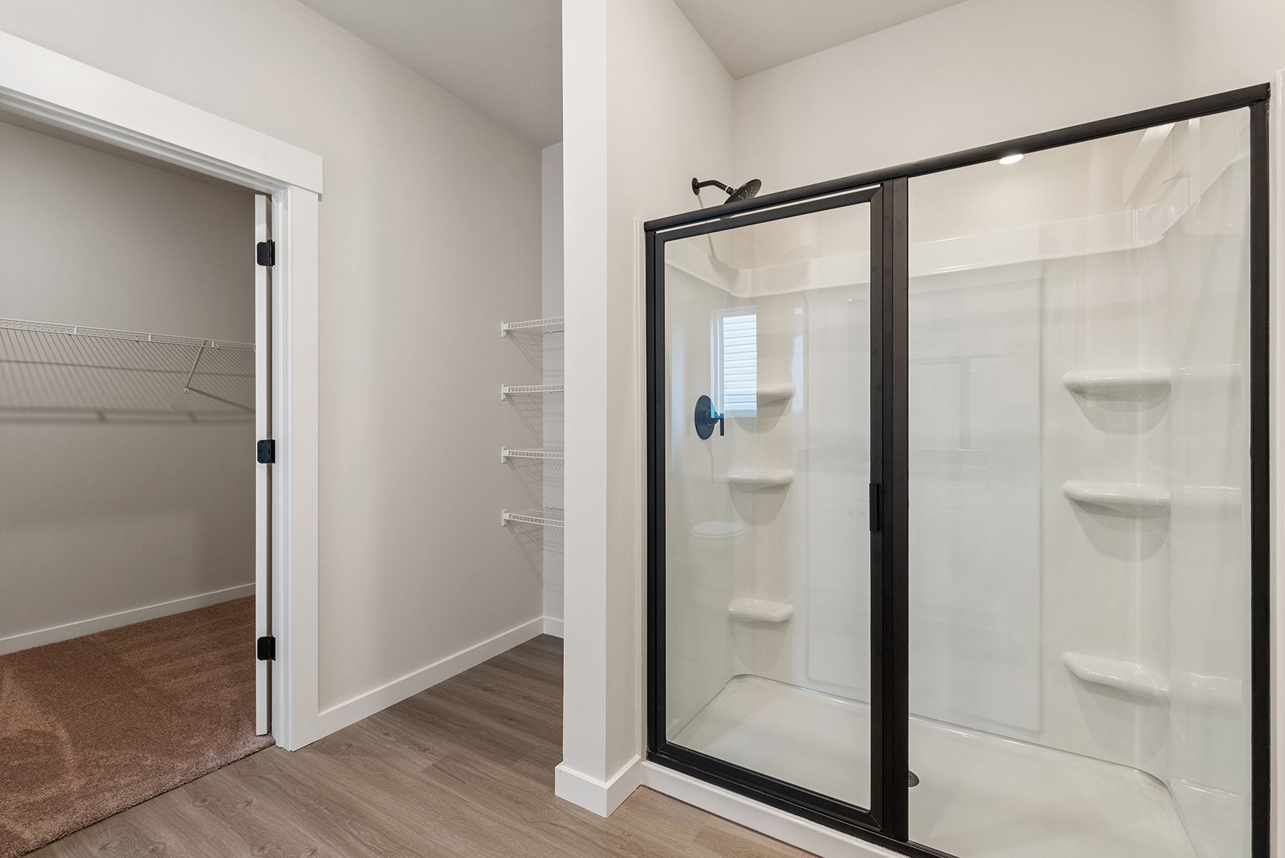 Glass-enclosed shower