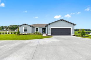Cedar Key - Lake Gallagher Estates: Dover, Florida - LGI Homes